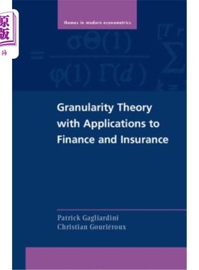 海外直订Granularity Theory with Applications to Finance and Insurance 粒度理论及其在金融和保险中的应用