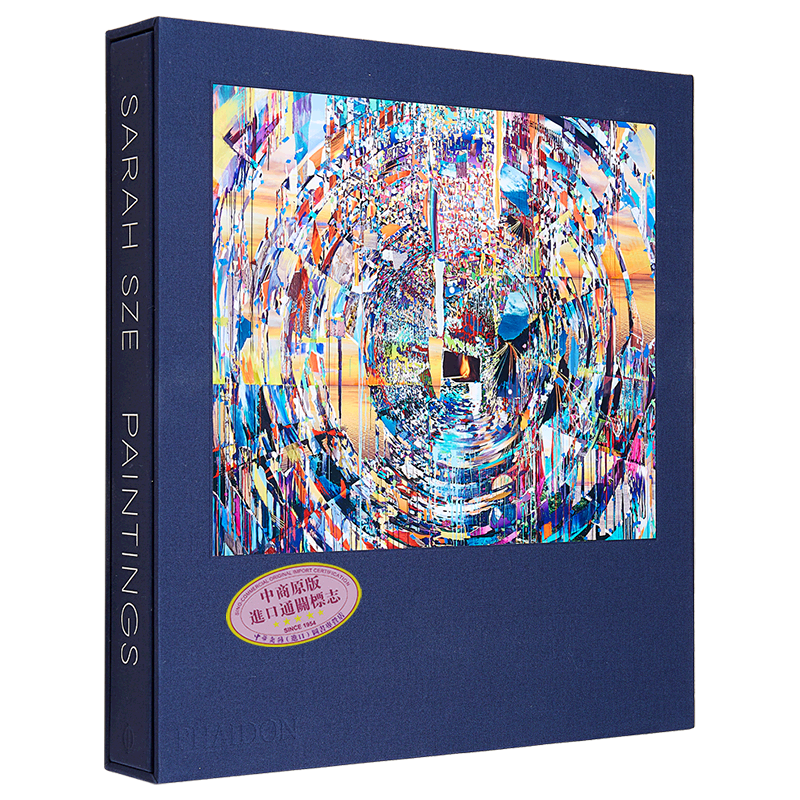 Sarah Sze: Paintings 进口艺术 萨拉·斯茨:绘画 Phaidon【中商原版】