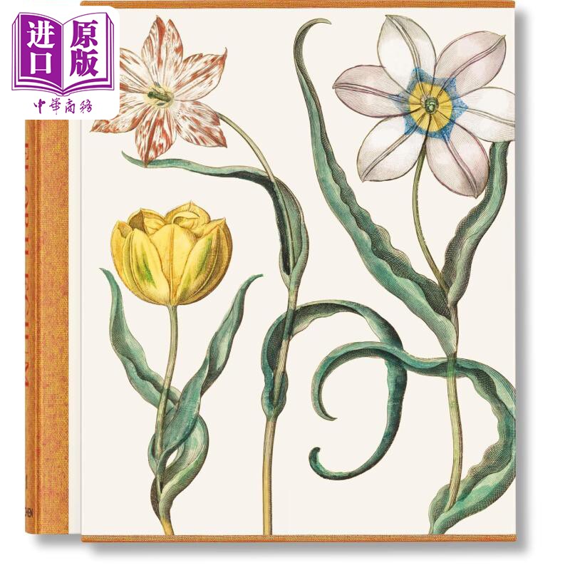 艾希施塔特花园BasiliusBesler