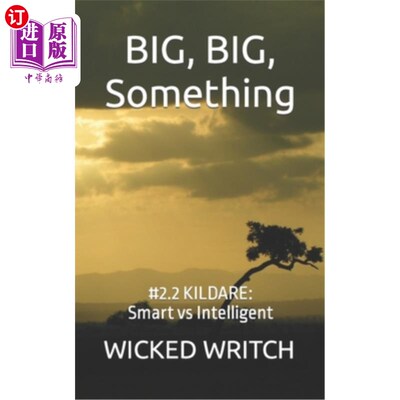 海外直订Big, Big, Something: Kildare: Smart vs Intelligent by Wicked Writch 《Big, Big, Something: K