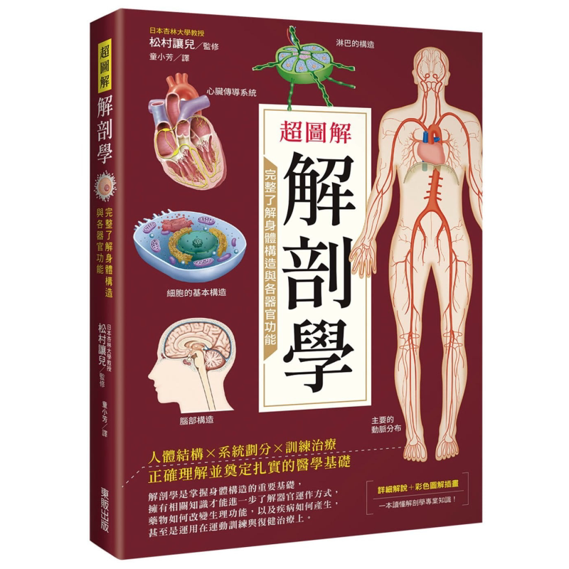 超图解解剖学 完整了解身体构造与各器官功能 港台原版 松村让儿 台湾东贩【中商原版】