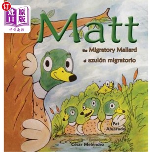 The azulón Migratory migratorio Mallard 海外直订Matt
