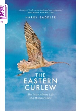 海外直订The Eastern Curlew 东杓鹬