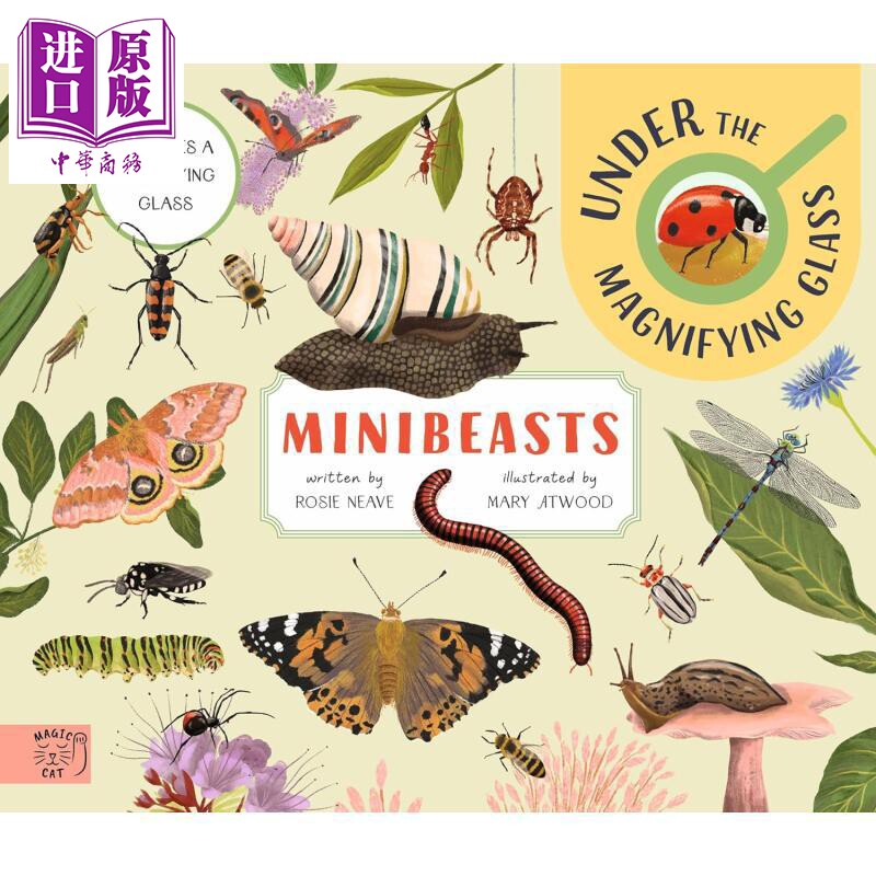 微型动物 放大镜下的观察 Minibeasts Under the Magnifying Glass 英文原版 儿童科普绘本读物 插图精美 进口书【中商原版】