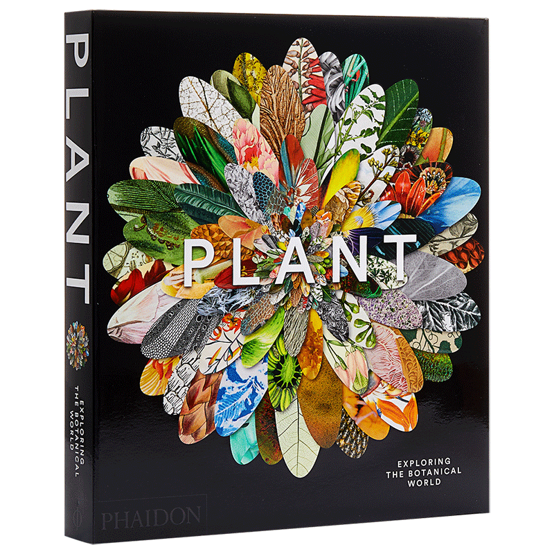 草木之形 植物艺术巡礼 植物画册收藏书籍 探索植物学世界 英文原版 Plant Exploring the Botanical World Phaidon 中商原版