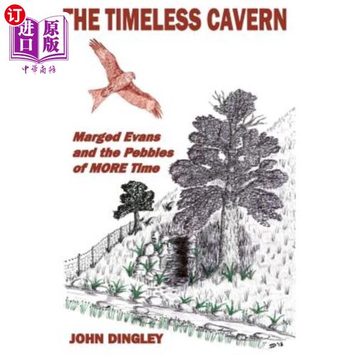 海外直订The Timeless Cavern: Marged Evans and the Pebbles of More Time 永恒的洞穴：边缘埃文斯和更多时间的鹅卵石
