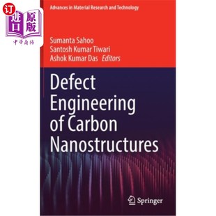 Nanostructures 海外直订Defect Carbon 碳纳米结构缺陷工程 Engineering