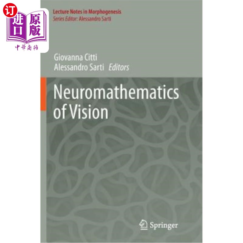 海外直订Neuromathematics of Vision视觉神经数学