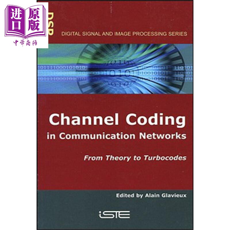 通信网络通信编码从理论到透平编码Channel Coding In Communication Networks From Theory To Turbocodes英文原版Alain Gla
