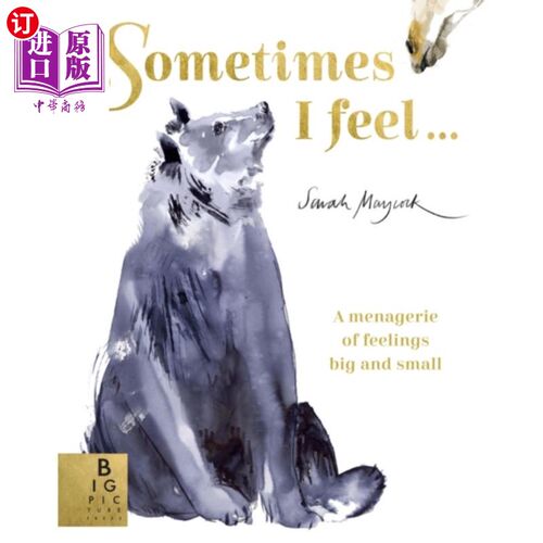 海外直订Sometimes I Feel... 有时我觉得……