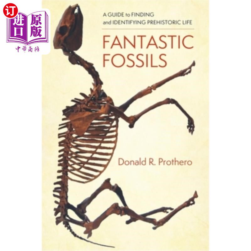 海外直订Fantastic Fossils: A Guide to Finding and Identifying Prehistoric Life 神奇的化石:寻找和识别史前生命的指南