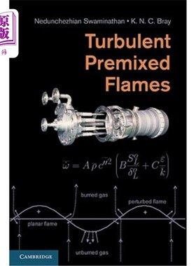 海外直订Turbulent Premixed Flames 湍流预混合火焰