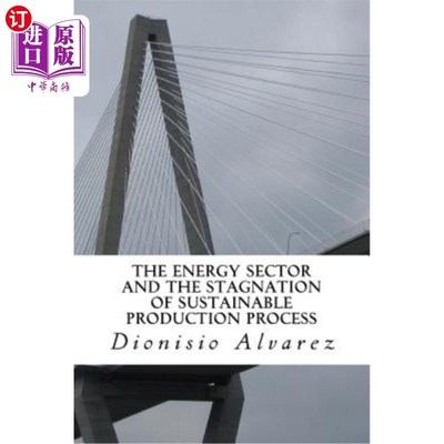 海外直订The energy sector and the stagnation of sustainable production process: The func