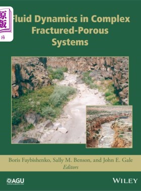 海外直订Fluid Dynamics in Complex Fractured-Porous Syste... 复杂裂缝-孔隙系统的流体动力学