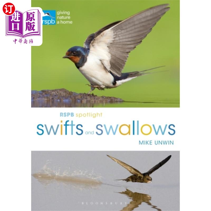 海外直订RSPB Spotlight Swifts and Swallows 皇家鸟类保护协会聚焦雨燕和燕子