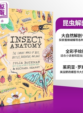 茱莉亚罗斯曼解剖学系列 昆虫解剖学 英文原版 Insect Anatomy Julia Rothman 手绘大自然系列全彩插图科学科普