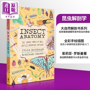 Insect 英文原版 Anatomy Julia 手绘大自然系列全彩插图科学科普 茱莉亚罗斯曼解剖学系列 Rothman 昆虫解剖学