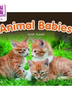 海外直订Bug Club Reading Corner: Age 4-7: Animal Babies 虫子俱乐部阅读角:4-7岁:动物宝宝