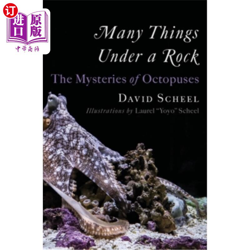 海外直订Many Things Under a Rock: The Mysteries of Octopuses 岩石下的许多东西:章鱼的奥秘