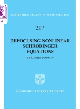 海外直订Defocusing Nonlinear Schr?dinger Equations 散焦非线性薛定谔方程