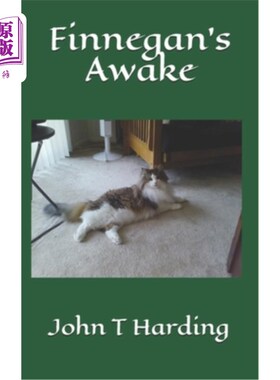 海外直订Finnegan's Awake 芬尼根醒了
