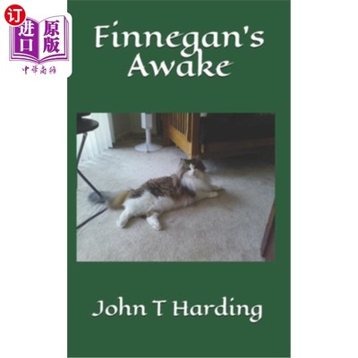 海外直订Finnegan's Awake 芬尼根醒了