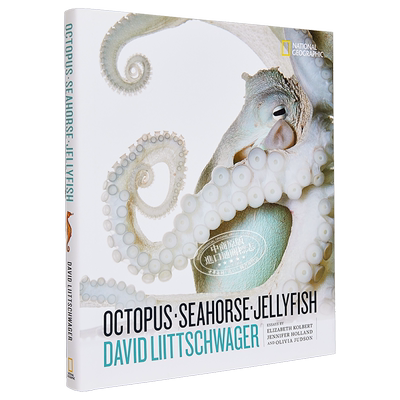 章鱼 海马 水母 英文原版 Octopus Seahorse Jellyfish DAVID LIITTSCHWAGER【中商原版】