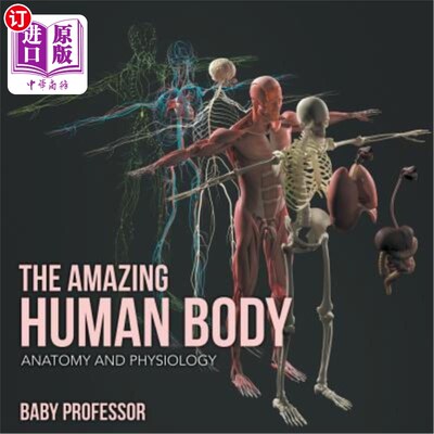 海外直订The Amazing Human Body Anatomy and Physiology 令人惊叹的人体解剖学和生理学