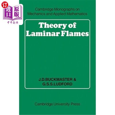 海外直订Theory of Laminar Flames 层流火焰理论