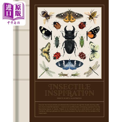 昆虫灵感艺术和插图中的昆虫