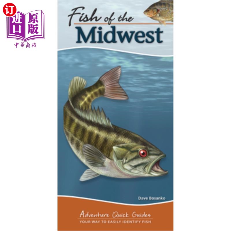 海外直订Fish of the Midwest: Your Way to Easily Identify Fish 中西部的鱼:你的方法很容易识别鱼 书籍/杂志/报纸 原版其它 原图主图