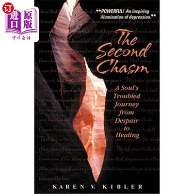 海外直订医药图书The Second Chasm: A Soul's Troubled Journey from Despair to Healing 第二道鸿沟：灵魂从绝望到治愈的