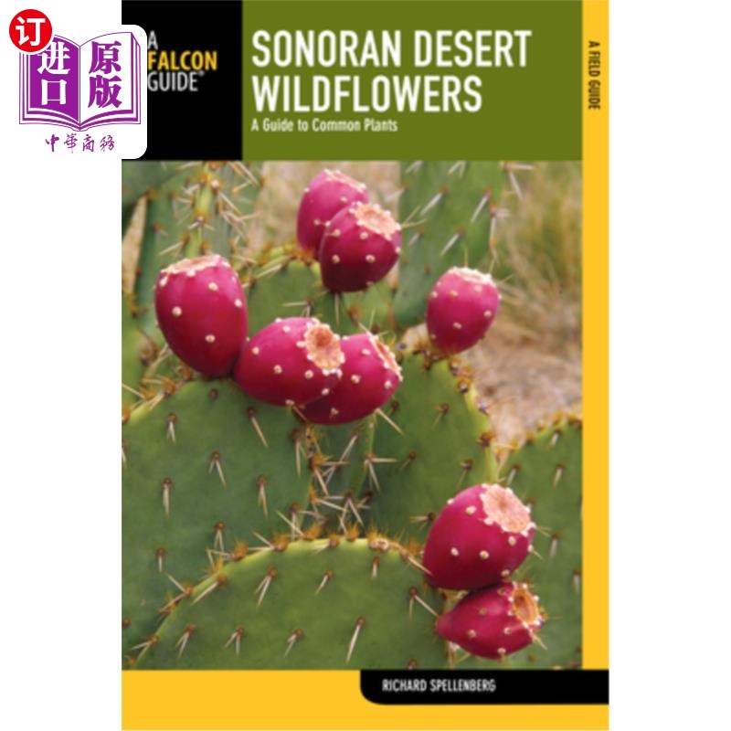 海外直订Sonoran Desert Wildflowers: A Guide to Common Plants 索诺兰沙漠野花:常见植物指南 - 实物图