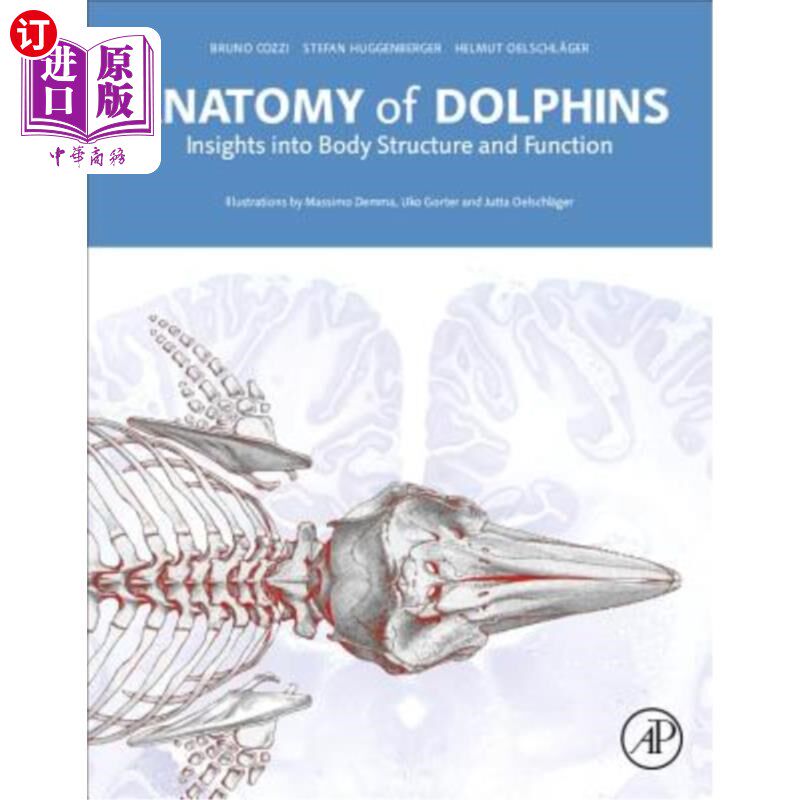of dolphins: insights into body structure and function 海豚解剖