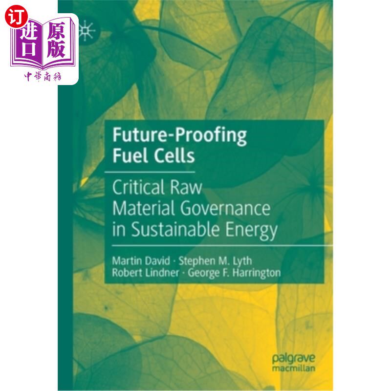 海外直订Future-Proofing Fuel Cells: Critical Raw Material Governance in Sustainable Ener 未来燃料电池:可持续能源的