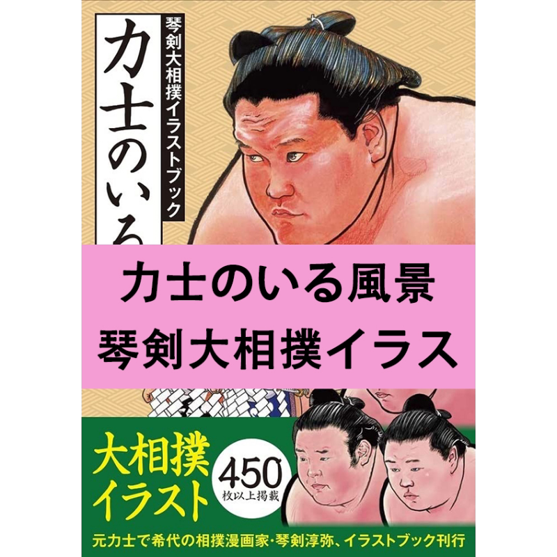 有力士的风景琴剑大相扑插图书 琴剑淳弥 日文原版 进口艺术 力士のいる風景 琴剣大相撲イラストブック【中商原版】