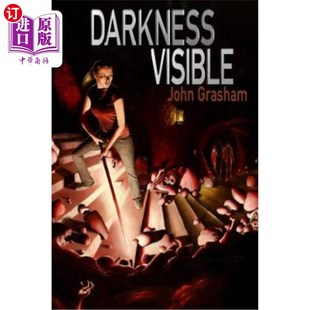 海外直订Darkness 黑暗中可见 Visible