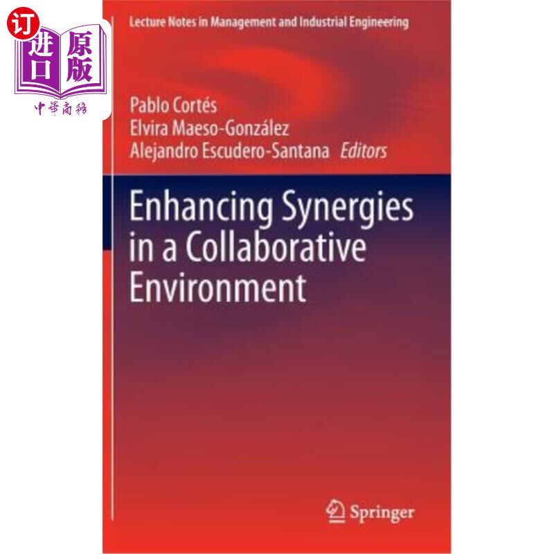 海外直订Enhancing Synergies in a Collaborative Environment 在协作环境中增强协同效应