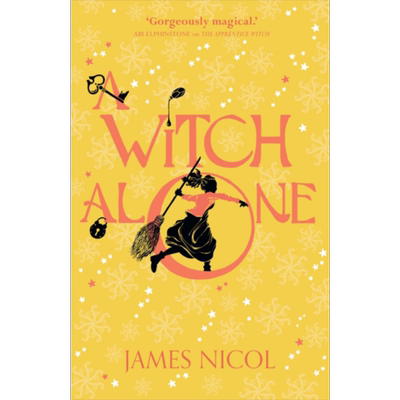 The Apprentice Witch 2  A Witch Alone James Nicol 英文原版【中商原版】