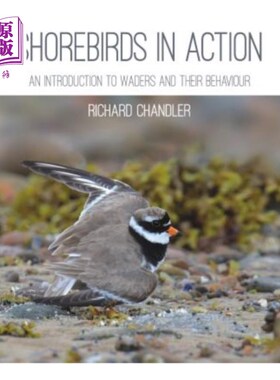 海外直订Shorebirds in Action 行动中的滨鸟