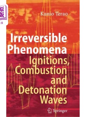 海外直订Irreversible Phenomena: Ignitions, Combustion and Detonation Waves 不可逆现象：点火、燃烧和爆轰波