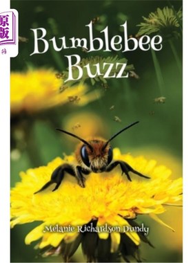 海外直订Bumblebee Buzz 大黄蜂嗡嗡声