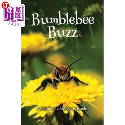 海外直订Bumblebee Buzz 大黄蜂嗡嗡声