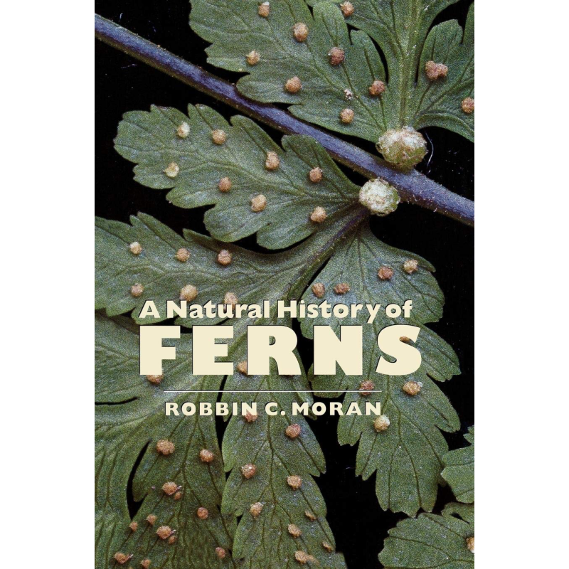 预售 蕨类植物的秘密生活 英文原版 A Natural History of Ferns Robbin C Moran【中商原版】
