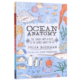 茱莉亚罗斯曼解剖学系列 海洋解剖学 英文原版 Ocean Anatomy Julia Rothman 手绘大自然系列全彩插图科学科普