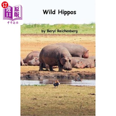 海外直订Wild Hippos 野生河马