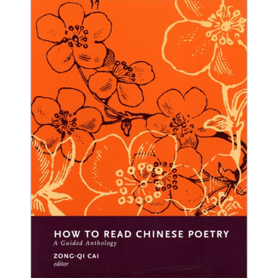 如何读中国诗歌 导读集 How to Read Chinese Poetry 英文原版 Zong qi Cai 蔡宗琪 经典文学【中商原版】