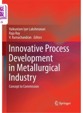 海外直订Innovative Process Development in Metallurgical Industry: Concept to Commission 冶金工业的创新工艺开发:从概
