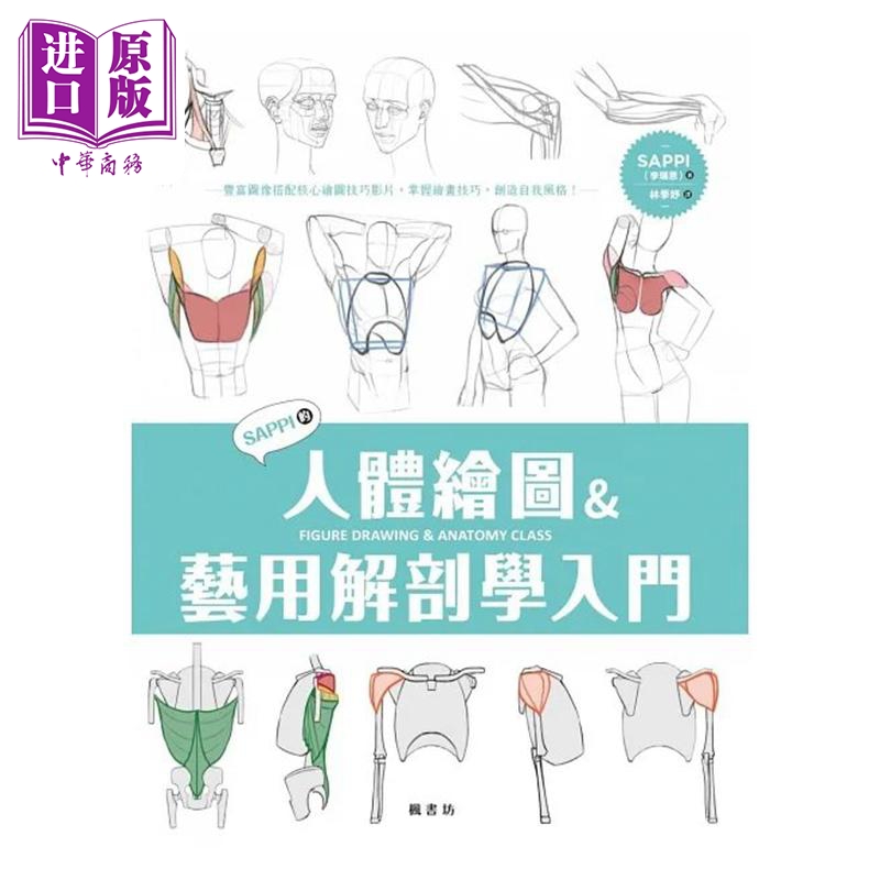 SAPPI的人体绘图＆艺用解剖学入门 港台艺术原版 SAPPI 枫书坊出版【中商原版】