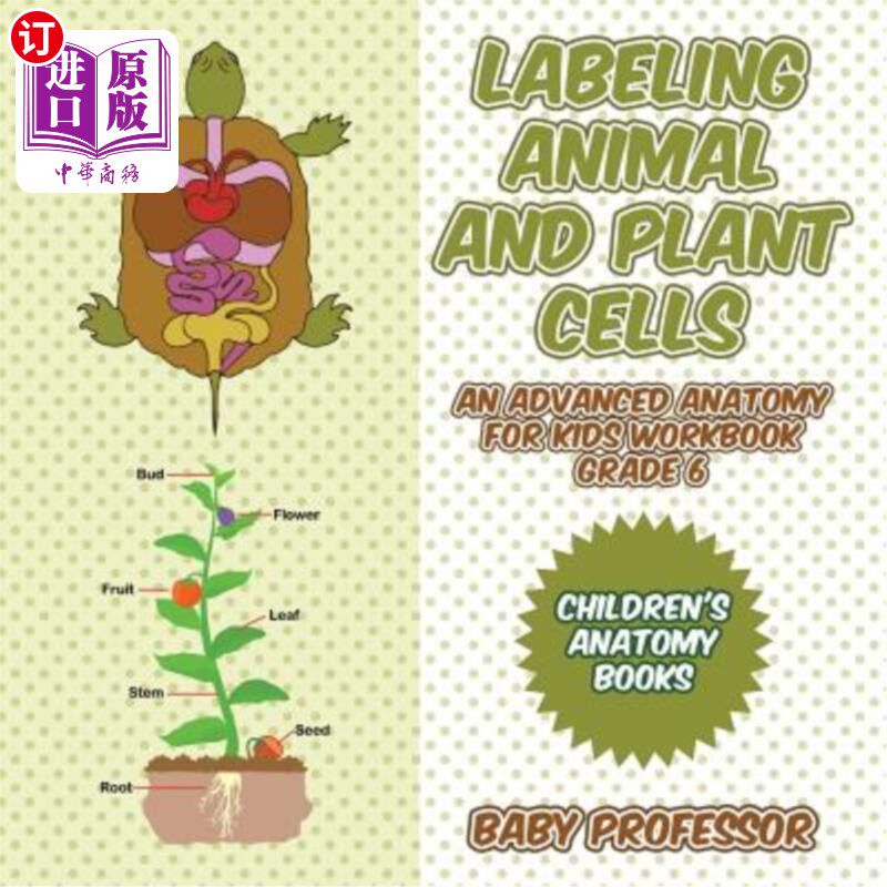 海外直订Labeling Animal and Plant Cells - An Advanced Anatomy for Kids Workbook Grade 6  标记动植物细胞-儿童高级解